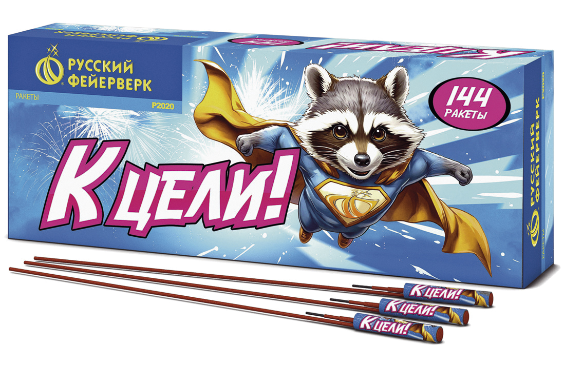 К ЦЕЛИ!